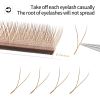 Brown W Shaped 2D 3D 4D YY Bloom Automatic Flowering Premade Fans Eyelashes Extensions Natural Soft Light Individual Lashes